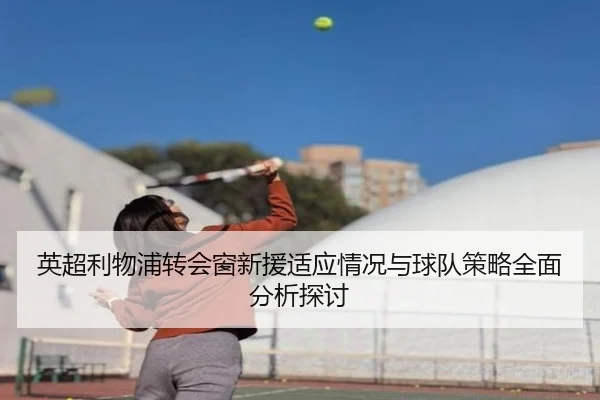 英超利物浦转会窗新援适应情况与球队策略全面分析探讨（8868 SPORTS）